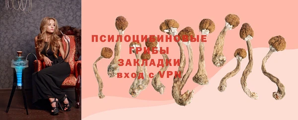 гашик Алексеевка
