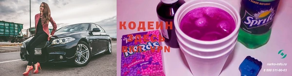 ECSTASY Алзамай
