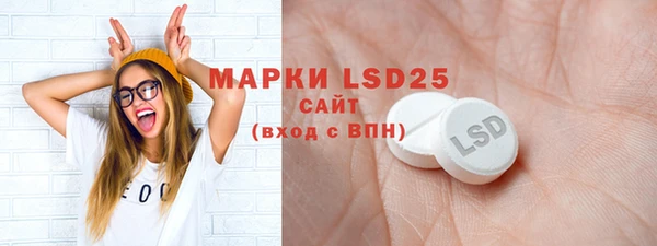 ECSTASY Алзамай