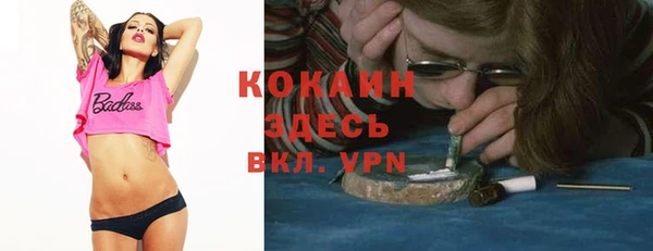 ECSTASY Алзамай