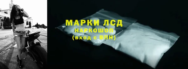 ECSTASY Алзамай