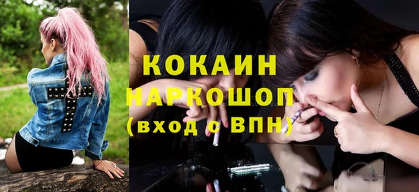 гашик Алексеевка