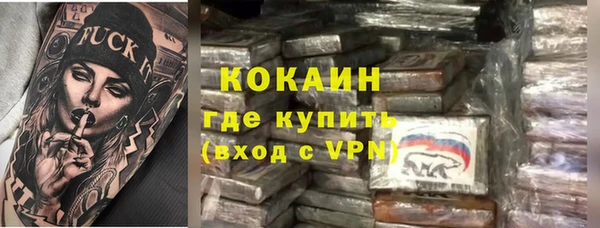 гашик Алексеевка
